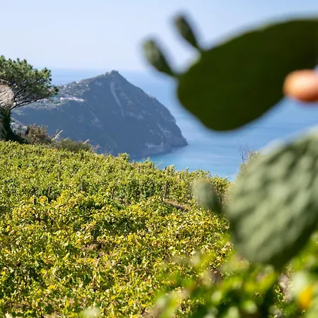 Punta Chiarito Hotel Forio di Ischia